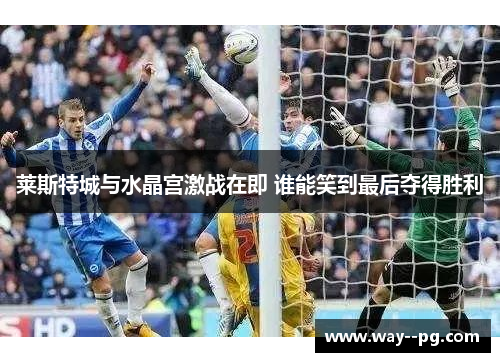 莱斯特城与水晶宫激战在即 谁能笑到最后夺得胜利
