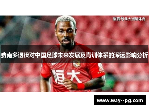 费南多退役对中国足球未来发展及青训体系的深远影响分析