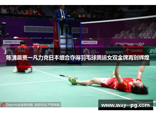 陈清晨贾一凡力克日本组合夺得羽毛球奥运女双金牌再创辉煌 陈清晨贾一凡力克日本组合夺得羽毛球奥运女双金牌再创辉煌