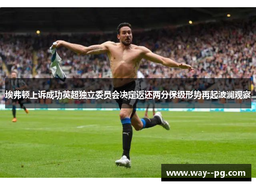 埃弗顿上诉成功英超独立委员会决定返还两分保级形势再起波澜观察